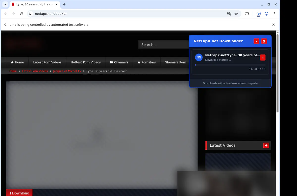 Netfapxnet Video Downloader screenshot 2