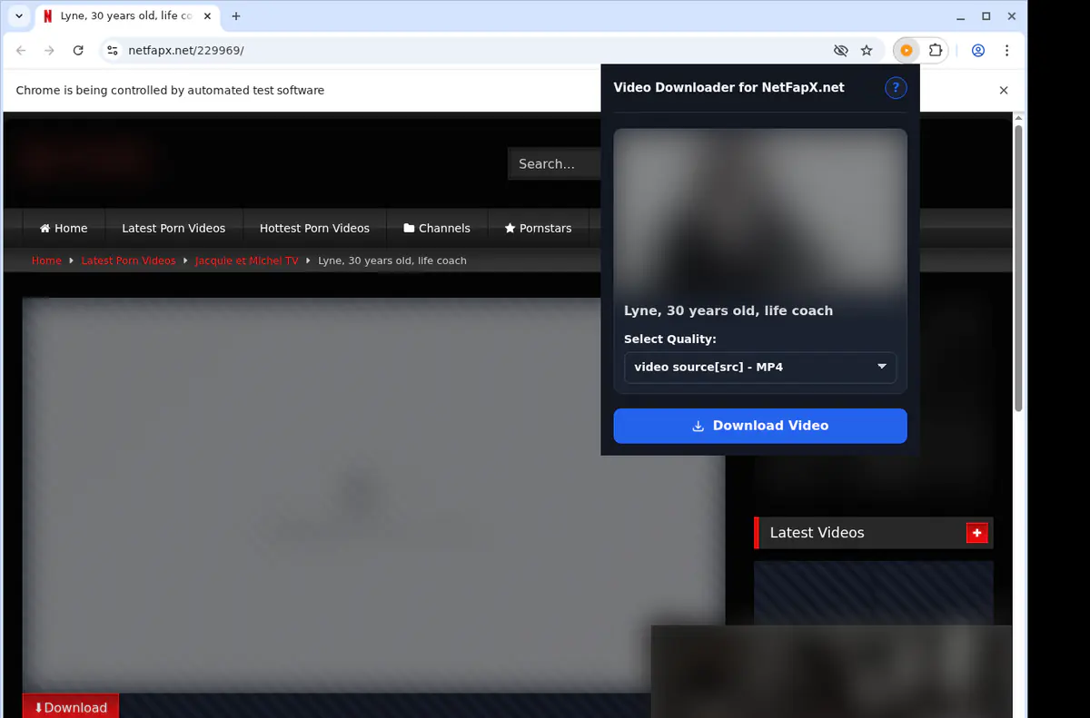 Netfapxnet Video Downloader screenshot 3
