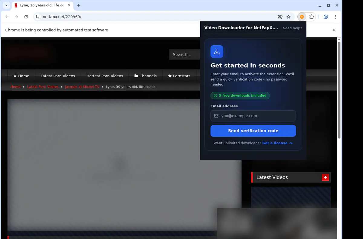Netfapxnet Video Downloader screenshot 5